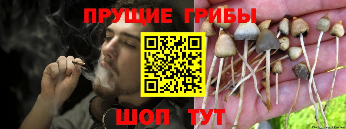 Псилоцибиновые грибы Psilocybine cubensis  Вход с VPN  наркота  Серов 